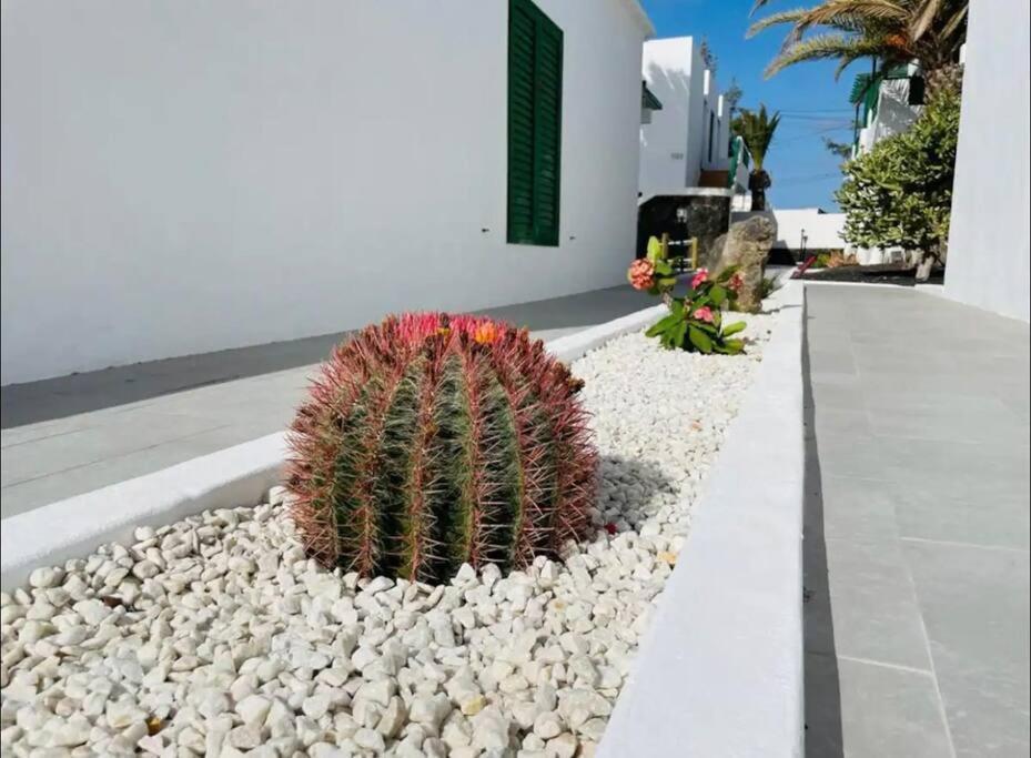 Apartmán Refugio Del Caracol Puerto del Carmen  Exteriér fotografie